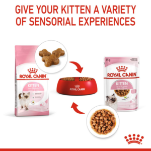 KITTEN GRAVY (WET FOOD - POUCHES) Box of 12x85g - Royal Canin Cat Wet Food in Qatar