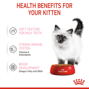 KITTEN GRAVY (WET FOOD - POUCHES) Box of 12x85g - Royal Canin Cat Wet Food in Qatar