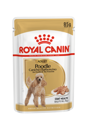 POODLE ADULT (WET FOOD - POUCHES) Box of 12x85g - Royal Canin Wet Dog Food in Qatar