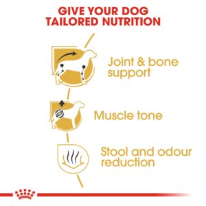 DACHSHUND ADULT 1.5 KG - Royal Canin Dry Dog Food in Qatar