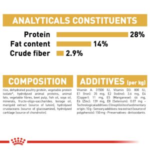 DACHSHUND ADULT 1.5 KG - Royal Canin Dry Dog Food in Qatar