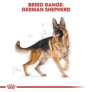 GERMAN SHEPHERD ADULT 11 KG - Royal Canin Dry Dog Food in Qatar