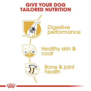 GERMAN SHEPHERD ADULT 11 KG - Royal Canin Dry Dog Food in Qatar