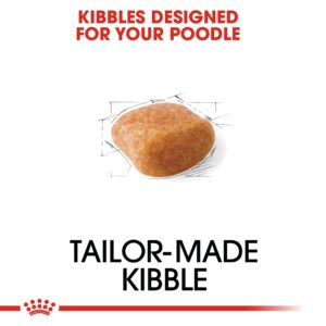 POODLE ADULT 1.5 KG - Royal Canin Dry Dog Food in Qatar