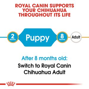 CHIHUAHUA PUPPY 1.5 KG - Royal Canin Dry Dog Food in Qatar