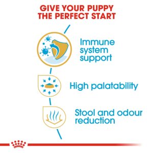 CHIHUAHUA PUPPY 1.5 KG - Royal Canin Dry Dog Food in Qatar