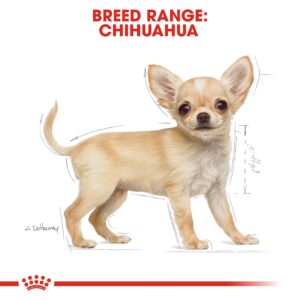 CHIHUAHUA PUPPY 1.5 KG - Royal Canin Dry Dog Food in Qatar