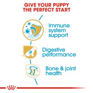 GERMAN SHEPHERD PUPPY 12 KG - Royal Canin Dry Dog Food in Qatar