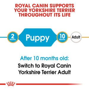 YORKSHIRE PUPPY 1.5 KG - Royal Canin Dry Dog Food in Qatar