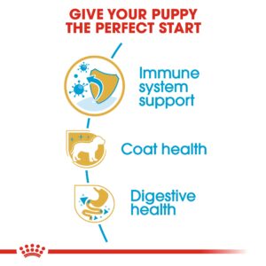 YORKSHIRE PUPPY 1.5 KG - Royal Canin Dry Dog Food in Qatar