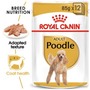 POODLE ADULT (WET FOOD - POUCHES) Box of 12x85g - Royal Canin Wet Dog Food in Qatar