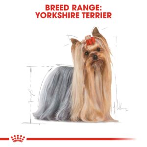 YORKSHIRE ADULT (WET FOOD - POUCHES) Box of 12x85g - Royal Canin Wet Dog Food in Qatar