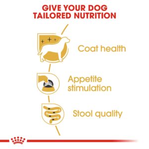 YORKSHIRE ADULT (WET FOOD - POUCHES) Box of 12x85g - Royal Canin Wet Dog Food in Qatar