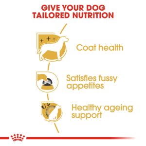 YORKSHIRE ADULT 1.5 KG - Royal Canin Dry Dog Food in Qatar