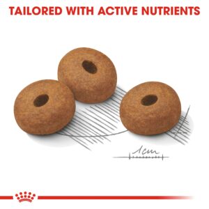MAXI LIGHT WEIGHT CARE 12 KG - Royal Canin Dry Dog Food in Qatar