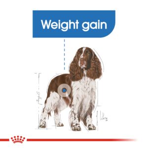 MEDIUM LIGHT WEIGHT CARE 12 KG - Royal Canin Dry Dog Food in Qatar