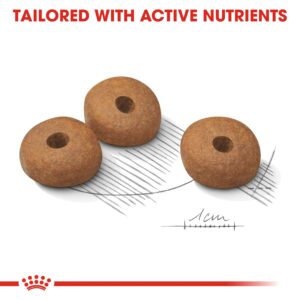 MEDIUM LIGHT WEIGHT CARE 12 KG - Royal Canin Dry Dog Food in Qatar
