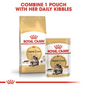 MAINE COON ADULT 2 KG - Royal Canin Dry in Qatar