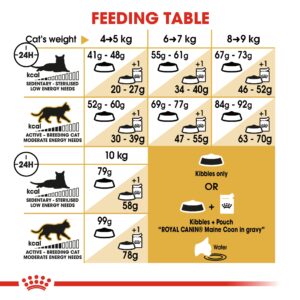 MAINE COON ADULT 2 KG - Royal Canin Dry in Qatar