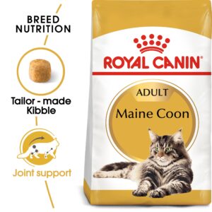 MAINE COON ADULT 2 KG - Royal Canin Dry in Qatar