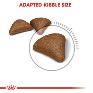 HAIRBALL CARE 2 KG - Royal Canin Dry in Qatar