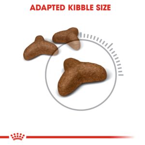 LIGHT WEIGHT CARE 8 KG - Royal Canin Dry in Qatar