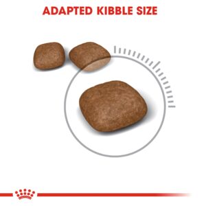 URINARY CARE 2 KG - Royal Canin Dry in Qatar