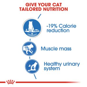 LIGHT WEIGHT CARE (WET FOOD - POUCHES) Box of 12x85g - Royal Canin Cat Wet Food in Qatar