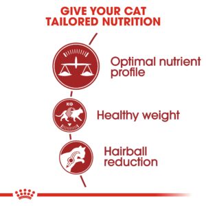 FIT 32 - 2 KG - Royal Canin Dry in Qatar