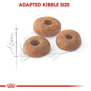 FIT 32 - 2 KG - Royal Canin Dry in Qatar