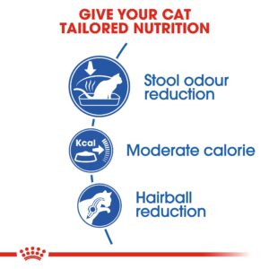 INDOOR 4 KG - Royal Canin Dry in Qatar