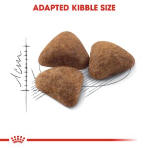 INDOOR 4 KG - Royal Canin Dry in Qatar