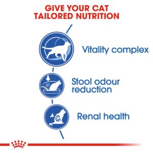 INDOOR 7+ YEARS 1.5 KG - Royal Canin Dry in Qatar