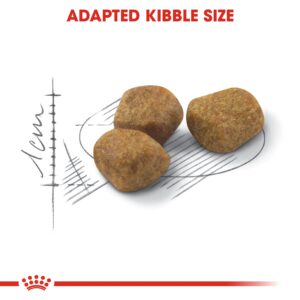 INDOOR 7+ YEARS 1.5 KG - Royal Canin Dry in Qatar