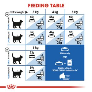 INDOOR 7+ YEARS 1.5 KG - Royal Canin Dry in Qatar