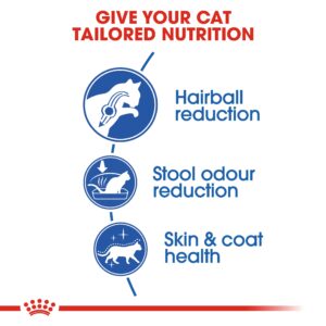 INDOOR LONG HAIR 2 KG - Royal Canin Dry in Qatar