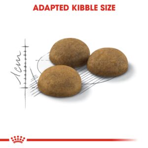 INDOOR LONG HAIR 2 KG - Royal Canin Dry in Qatar