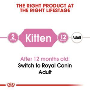 KITTEN 10 KG - Royal Canin Dry in Qatar