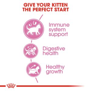 KITTEN 10 KG - Royal Canin Dry in Qatar