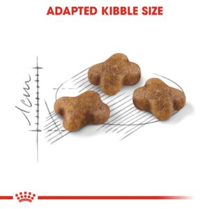 KITTEN 10 KG - Royal Canin Dry in Qatar