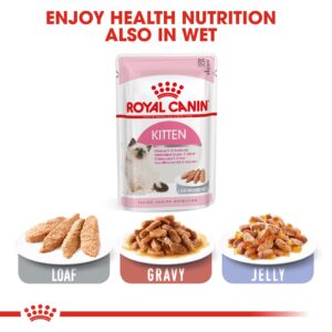 KITTEN 10 KG - Royal Canin Dry in Qatar