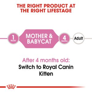 MOTHER & BABYCAT MOUSSE (WET FOOD - CANS) Tray of 12x195g - Royal Canin Cat Wet Food in Qatar