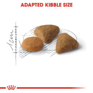 SAVOUR EXIGENT 2 KG - Royal Canin Dry in Qatar