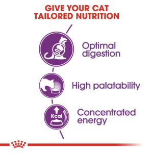 Feline Health Nutrition Sensible 2 KG - Royal Canin Dry in Qatar