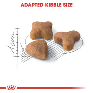 Feline Health Nutrition Sensible 2 KG - Royal Canin Dry in Qatar