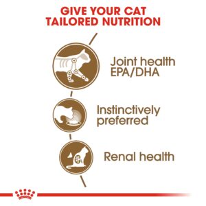 AGEING +12 GRAVY (WET FOOD - POUCHES) Box of 12x85g - Royal Canin Cat Wet Food in Qatar