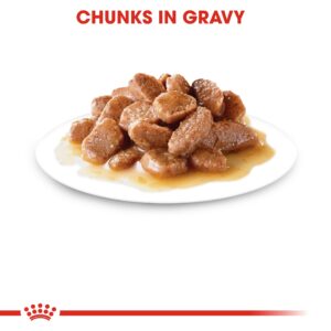 AGEING +12 GRAVY (WET FOOD - POUCHES) Box of 12x85g - Royal Canin Cat Wet Food in Qatar