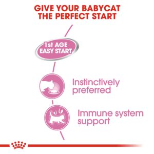 MOTHER & BABYCAT MOUSSE (WET FOOD - CANS) Tray of 12x195g - Royal Canin Cat Wet Food in Qatar
