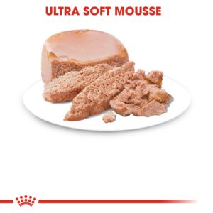 MOTHER & BABYCAT MOUSSE (WET FOOD - CANS) Tray of 12x195g - Royal Canin Cat Wet Food in Qatar