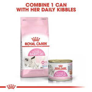 MOTHER & BABYCAT MOUSSE (WET FOOD - CANS) Tray of 12x195g - Royal Canin Cat Wet Food in Qatar